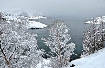 Skitouren Senja, Norwegen 05