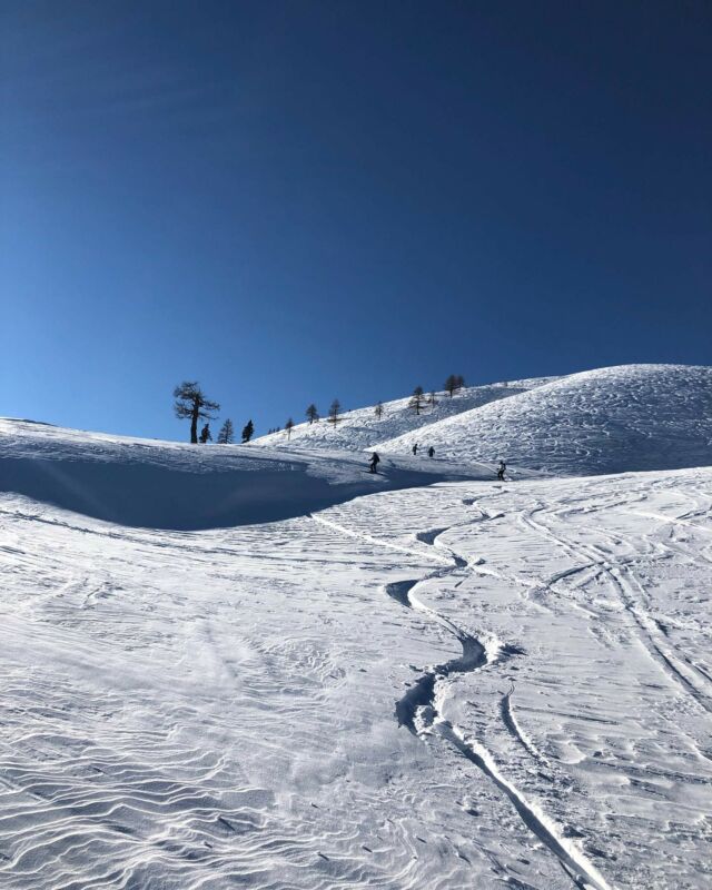 Skitouren- & LVS Basics kompakt: Unsere wöchentliche Schnupper - Skitour am Dobratsch😀  #voelklskis #markerbindings #dalbello #thisisskitouring #snowloveguiding #visitvillach