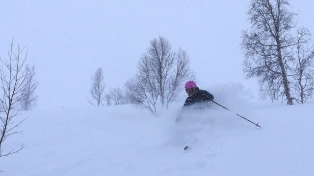 ❄️Wetterschicht❄️ nach 5 Tagen ☀️ gibt’s nun wieder ordentlich Neuschnee!  #snowloveguiding #treeruns #lyngen